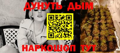 дживик Гай