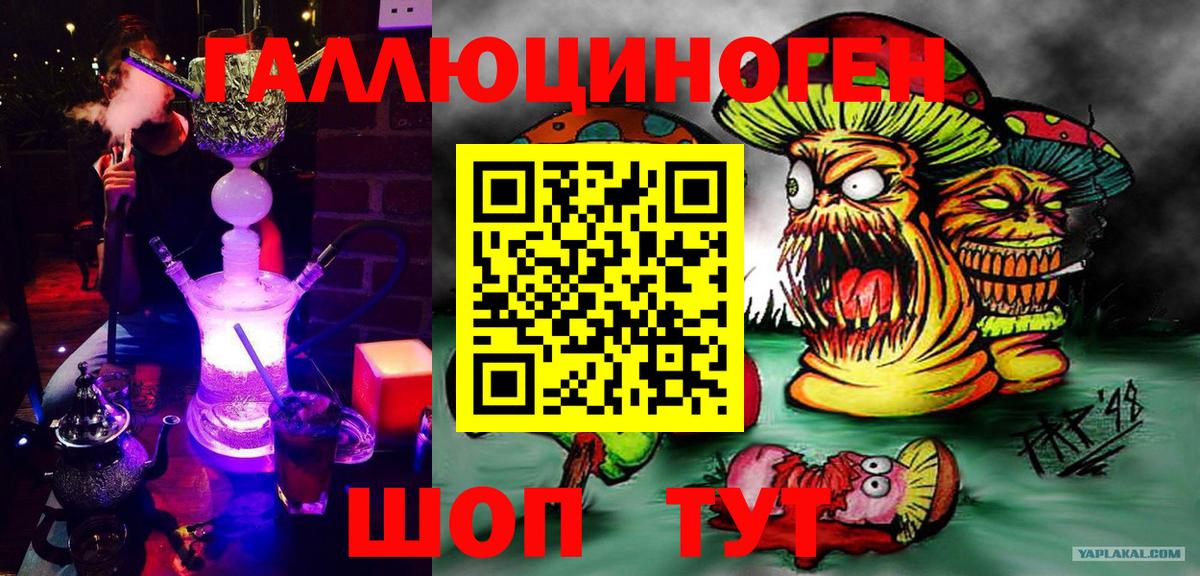 Краснодар  Галлюциногенные грибы Psilocybe  Вход с VPN 
