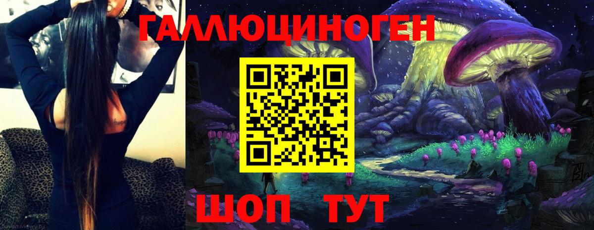 Псилоцибиновые грибы Psilocybe Краснодар
