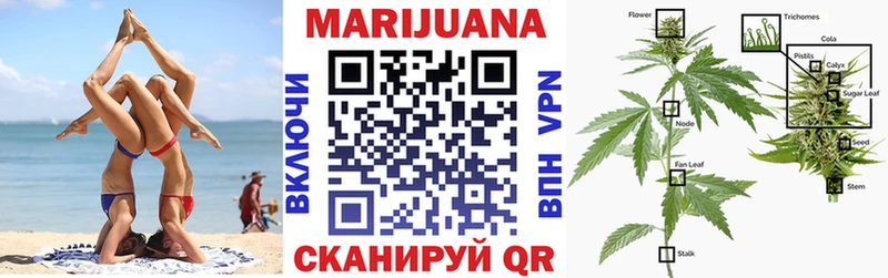 Канабис ГИДРОПОН Краснодар